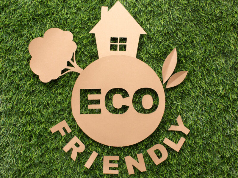 Eco-Friendly Real Estate: Green Homes in Papatoetoe